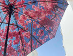 Large Cherry Umbrella – Windproof & UPF50+