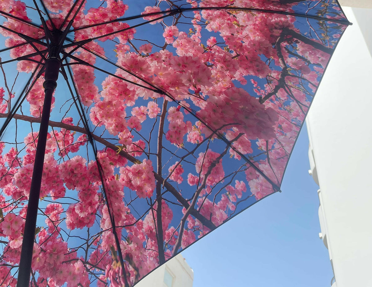 Large Cherry Umbrella – Windproof & UPF50+
