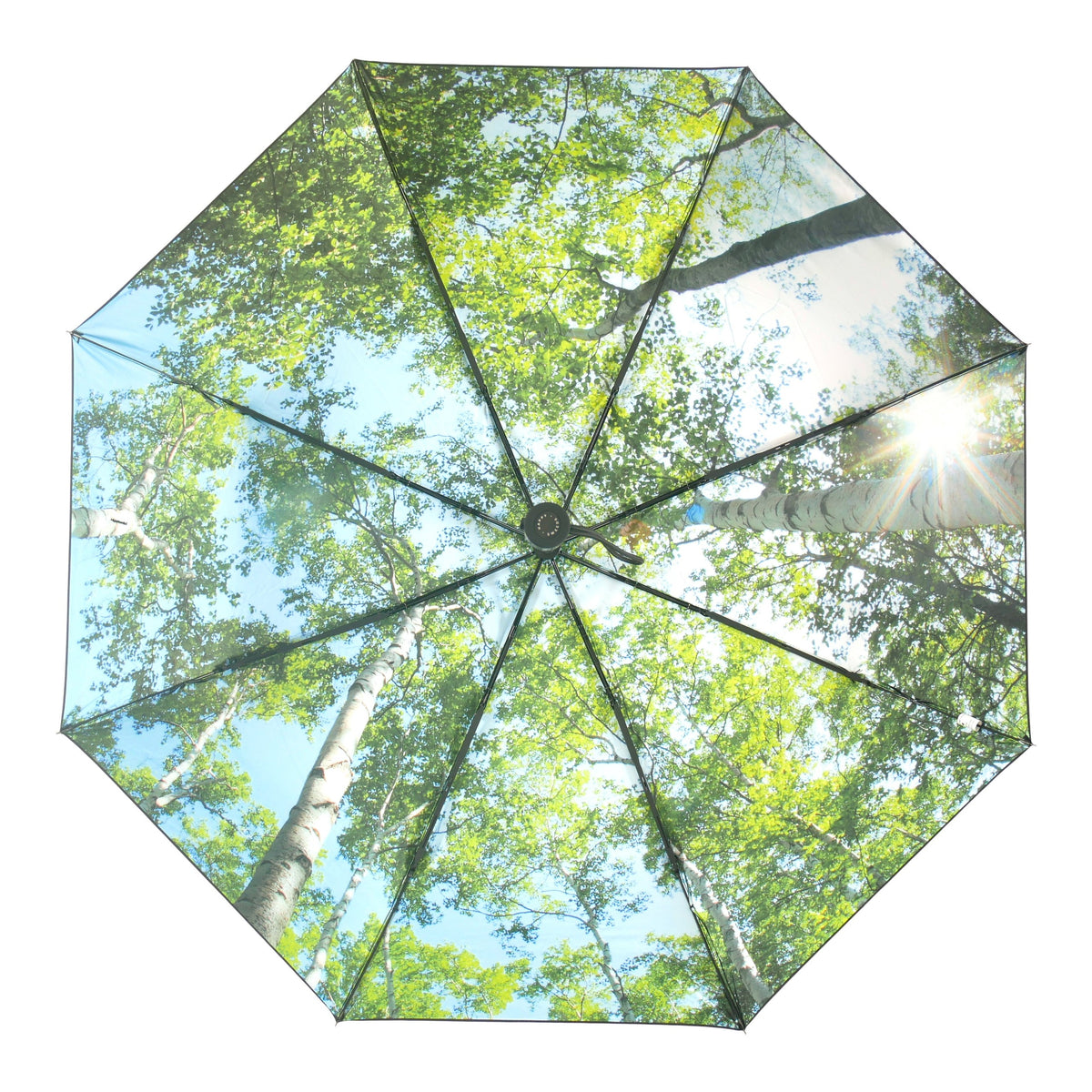 Forest Umbrella – Windproof & UPF50+ Protection
