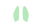 Leaves Small Earrings