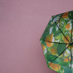 Lemon Umbrella – Windproof & UPF50+ Protection