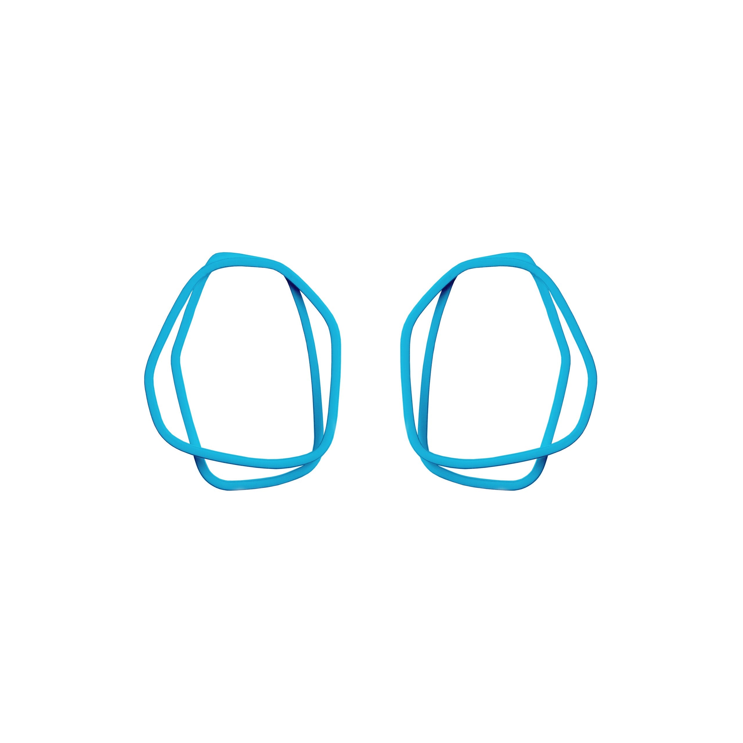Loops Earrings