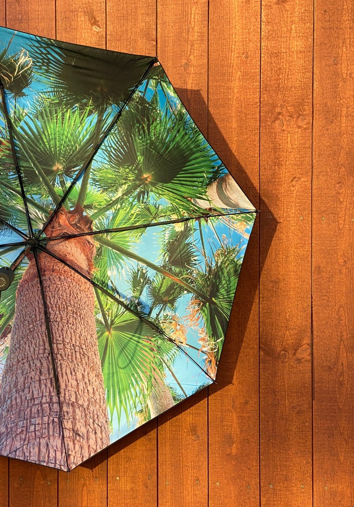 Paradise Umbrella – Windproof & UPF50+ Protection