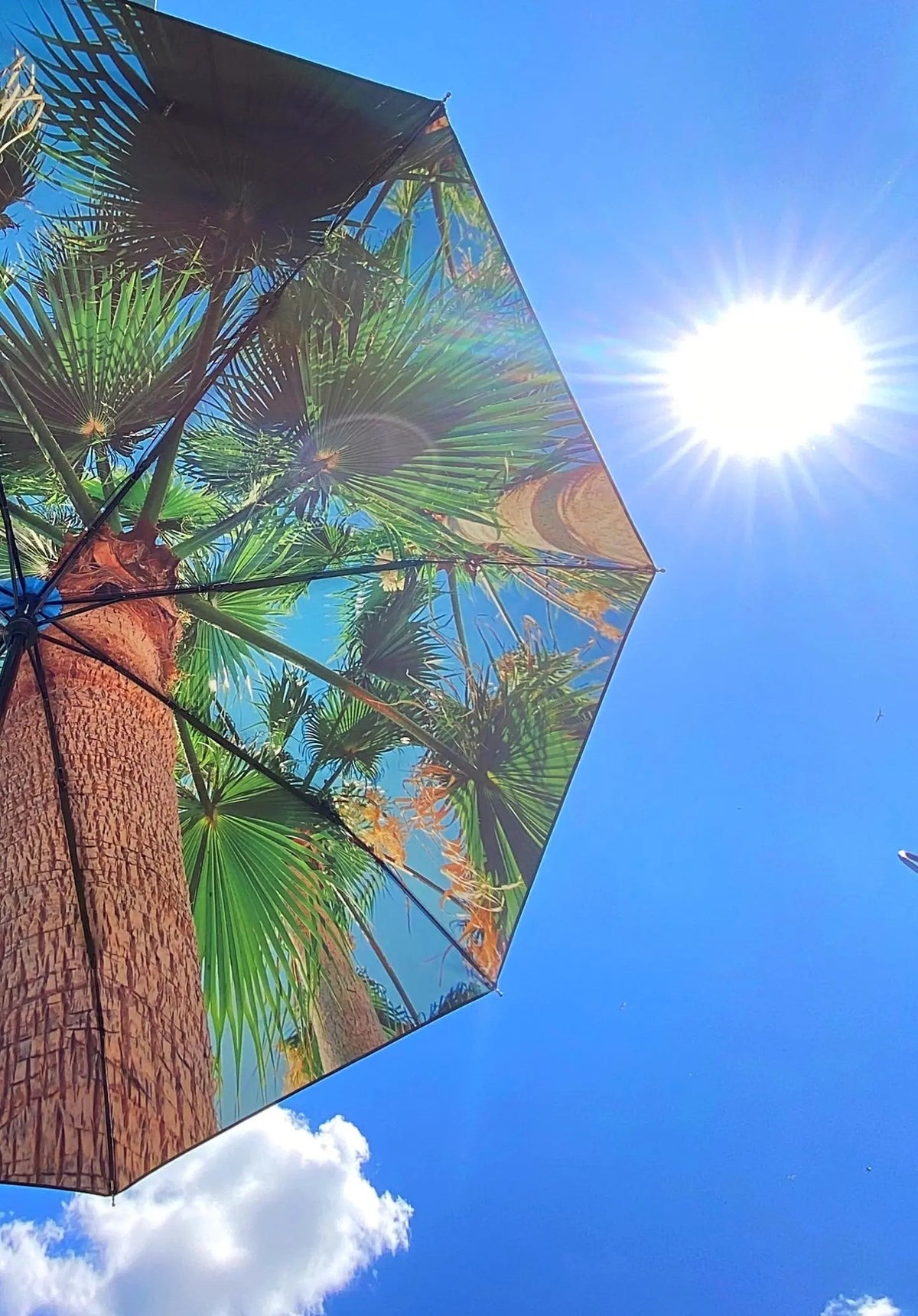 Paradise Umbrella – Windproof & UPF50+ Protection